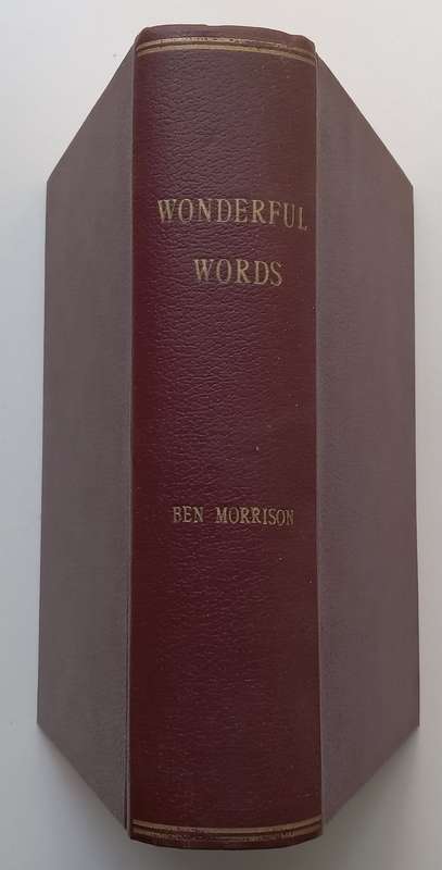 Wonderful Words: The Development of the Meaning of Hebrew Antonyms Derived from a Common Root (In...