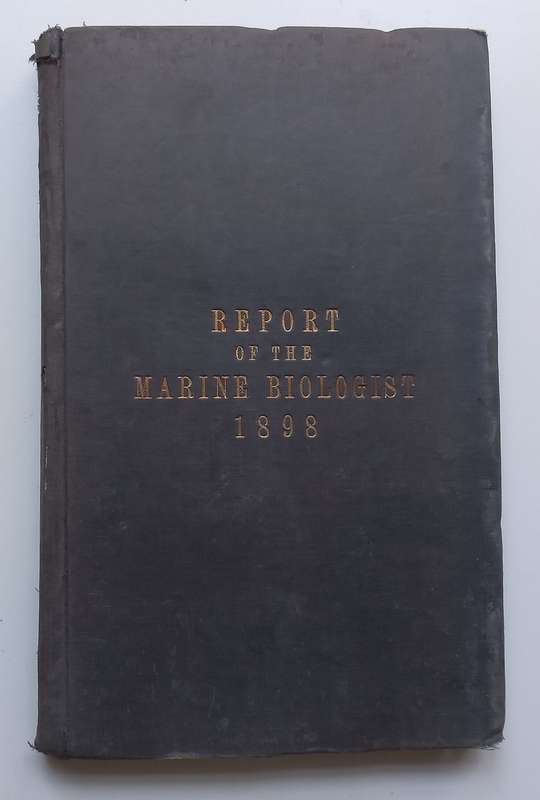 Cape of Good Hope Report of the Marine Biologist for the Year 1898