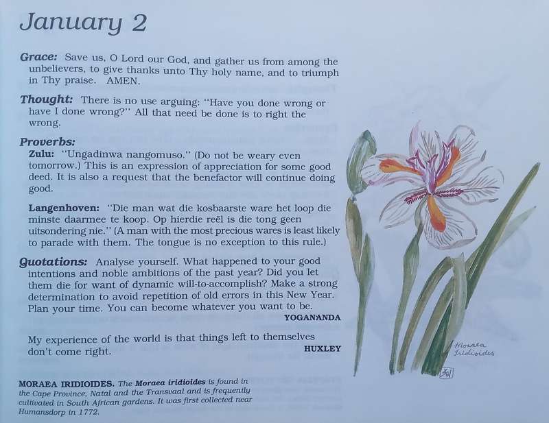 The Evergreen South African Diary (Signed by Author) | Susan Paramore Weyers