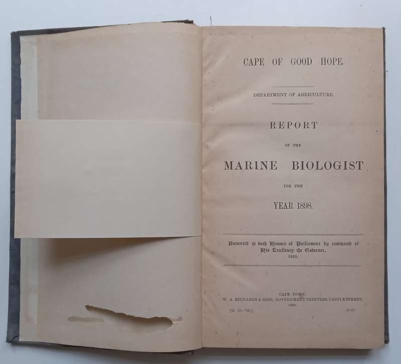 Cape of Good Hope Report of the Marine Biologist for the Year 1898