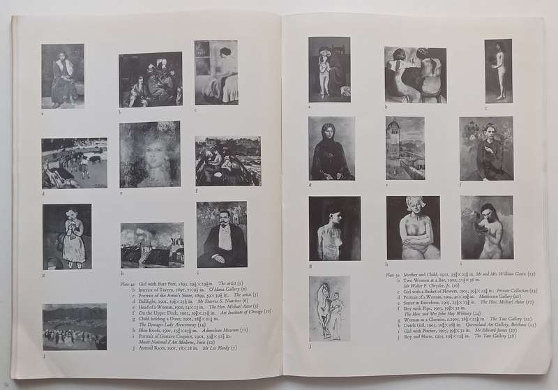 Picasso (Catalogue to Accompany an Exhibition of his Work)