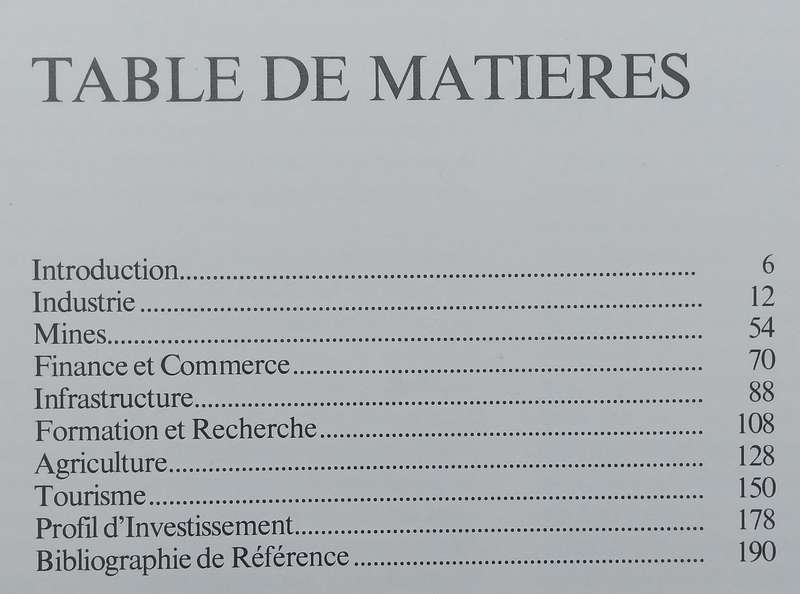Le Geant Economique DAfrique (French)