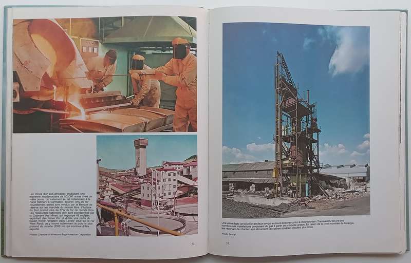 Le Geant Economique DAfrique (French)