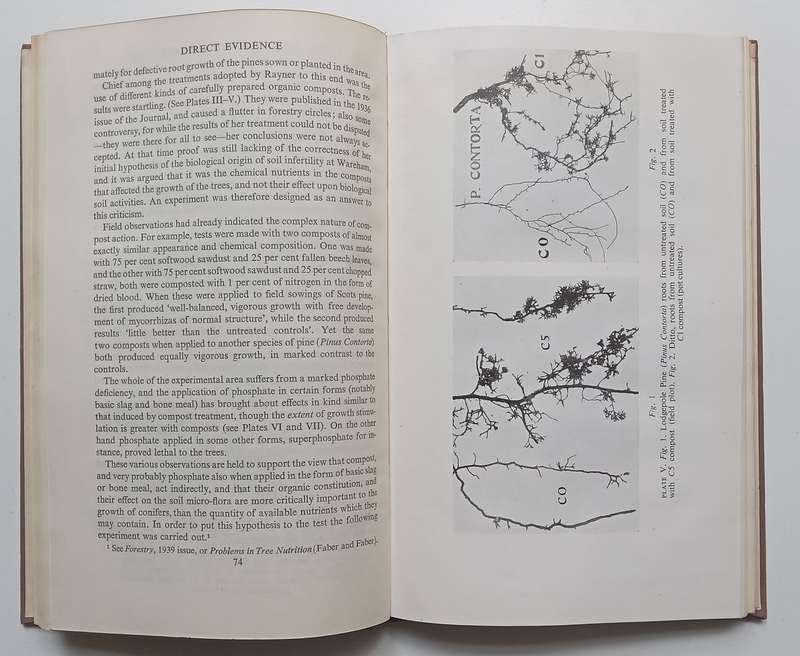 The Living Soil: Evidence of the Importance to Human Health of Soil Vitality, with Special Refere...
