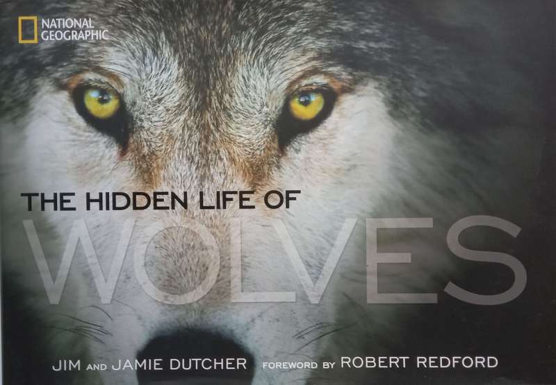The Hidden Lives of Wolves (Inscribed by All Three Authors) | Jim Dutcher, et al.