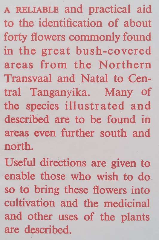 Some Flowers of the Bush | Joan Hoyle
