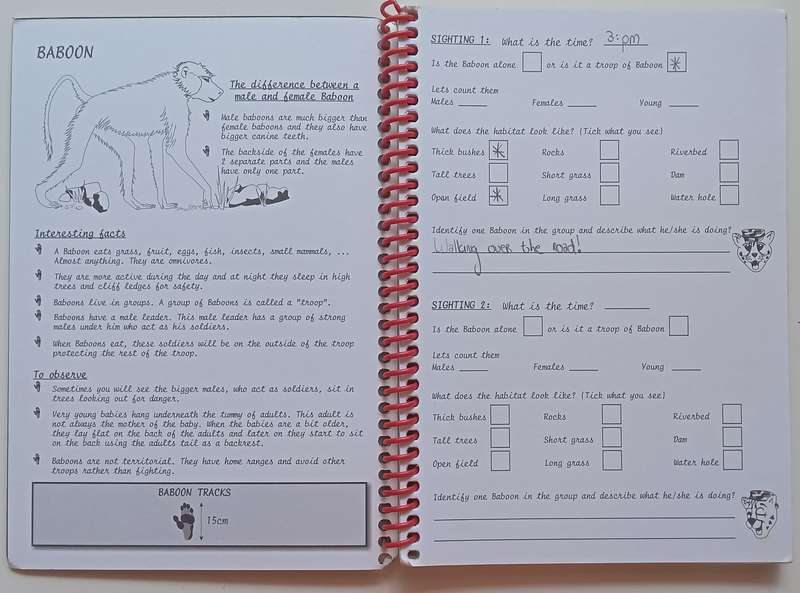 Menzo 1st Interactive Game Drive Book for the Whole Family (Partially Filled In)