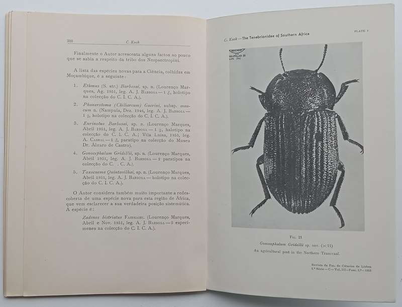The Tenebrionidae of Southern Africa (No. XXVI, New Port. East African Species Collected by Dr. A...