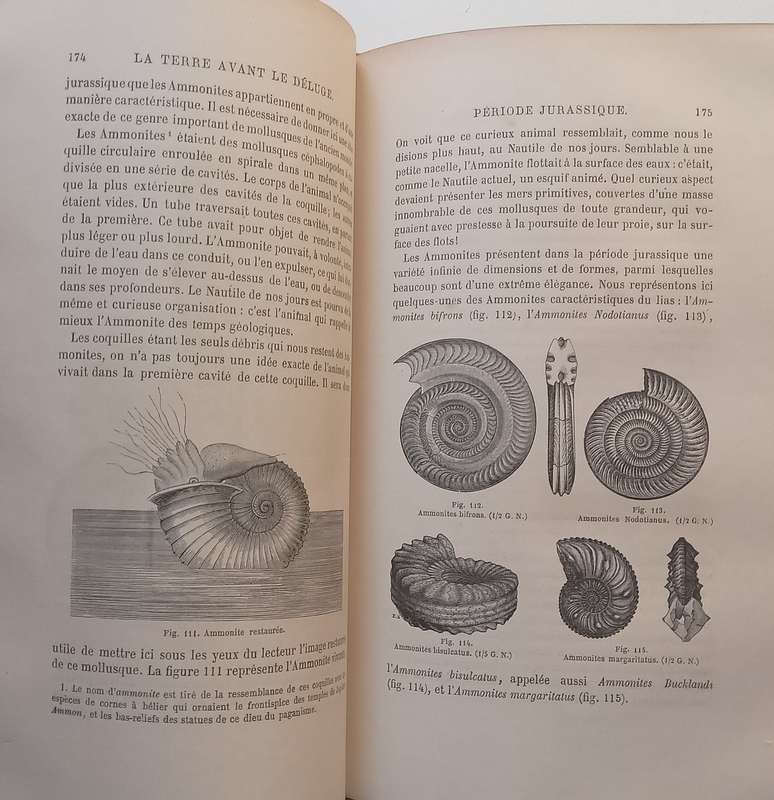 La Terre avant Le Deluge (5th Edition, Published 1866, French) | Louis Figuier