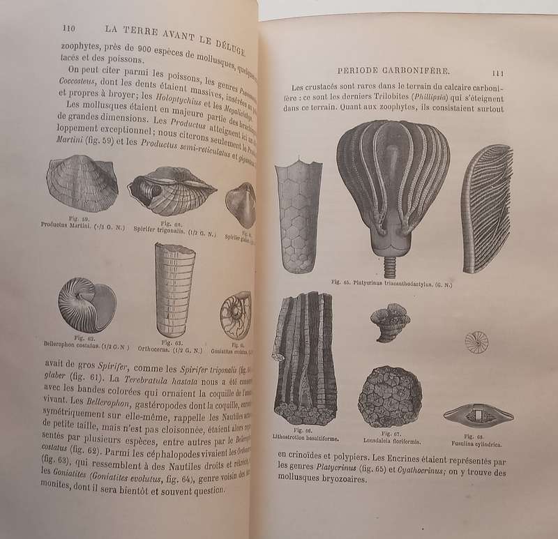 La Terre avant Le Deluge (5th Edition, Published 1866, French) | Louis Figuier