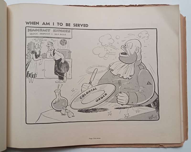 Now You Know: A Selection of South African Cartoons Featuring the Little Man | Bob Connolly