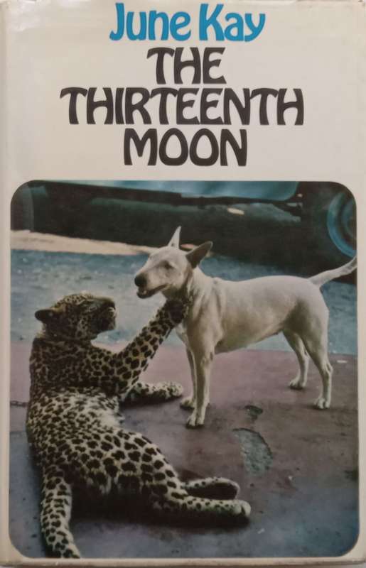 The Thirteenth Moon | June Kay
