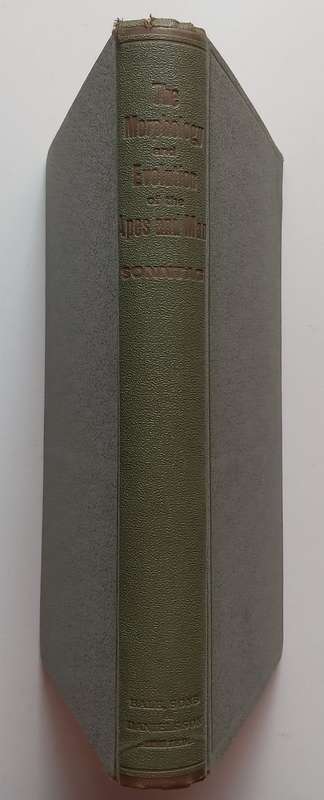 The Morphology and Evolution of the Apes and Man (Published 1924) | Charles F. Sonntag
