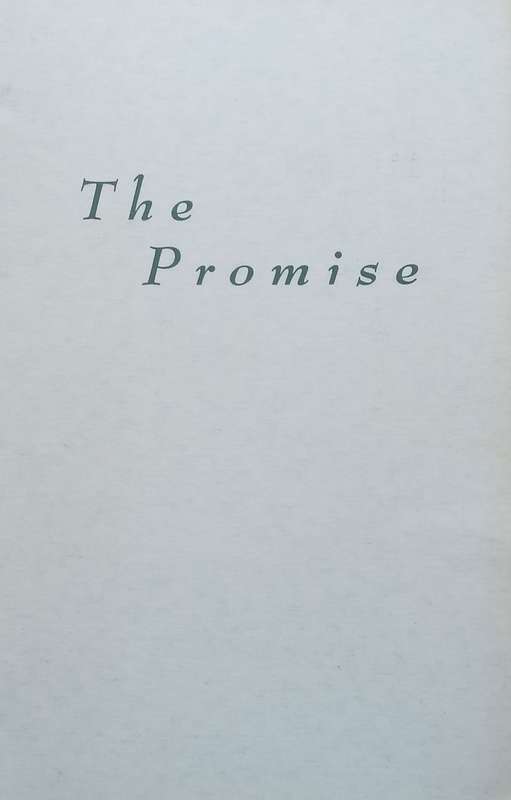 The Promise | Grant Clarke