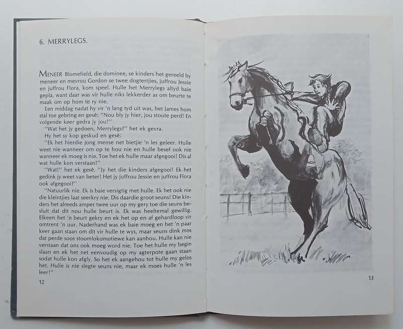 Black Beauty (Afrikaans Translation) | U. Schiller (Translator)