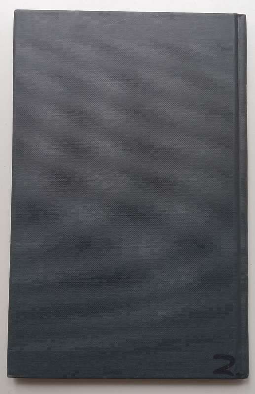 Black Beauty (Afrikaans Translation) | U. Schiller (Translator)