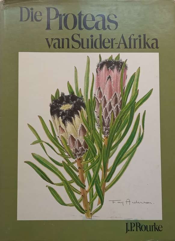 Die Proteas van Suider-Afrika (Afrikaans) | J. P. Rourke