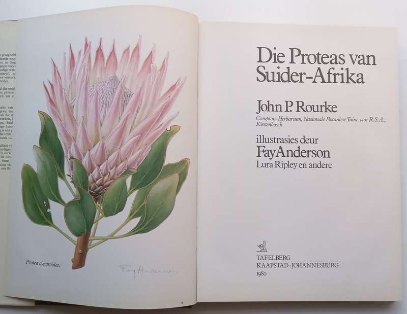 Die Proteas van Suider-Afrika (Afrikaans) | J. P. Rourke