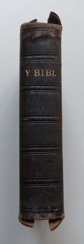 Y Bibl Cyssegr-Lan (The Bible in Welsh)