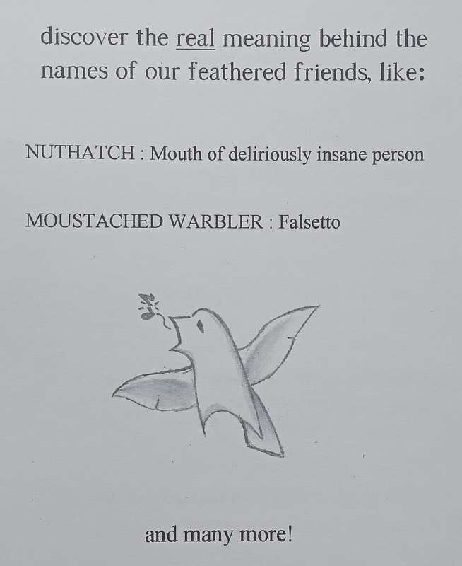The Real Meaning of Bird Names | Susan Davis