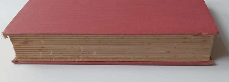 Felicity  Stands (First Edition, 1928) | Richmal Crompton