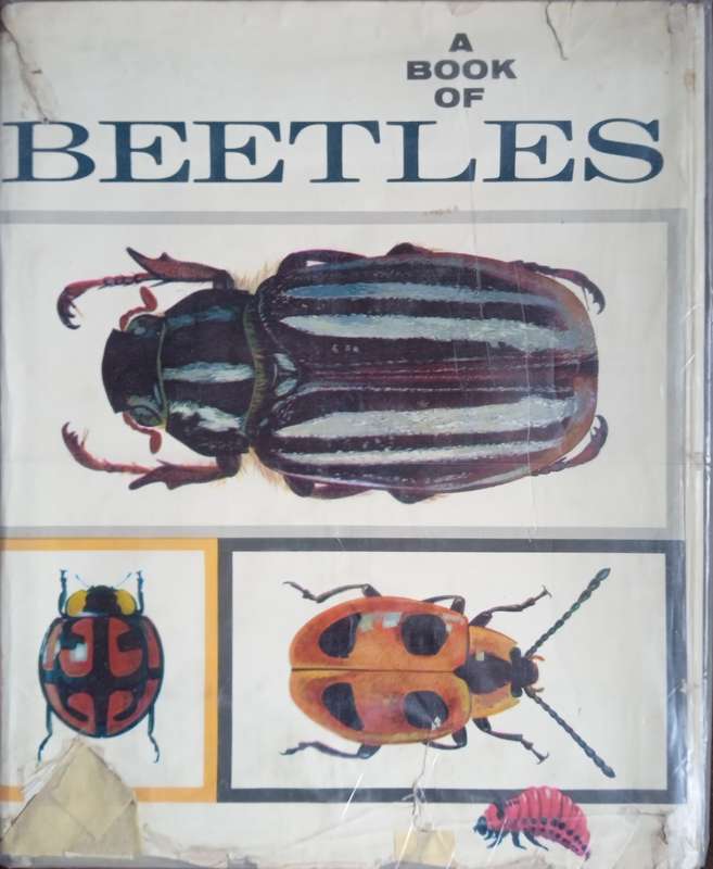 A Book of Beetles | Joseph R. Winkler and Vladimir Sohac