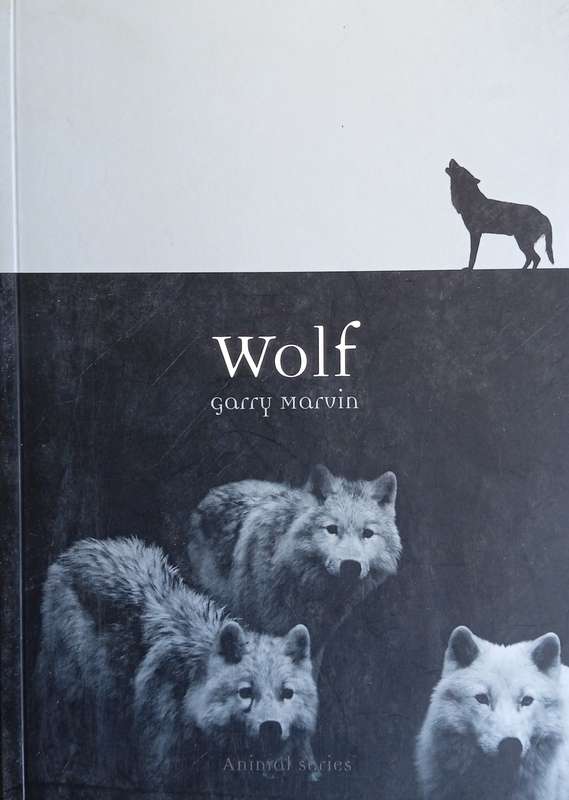 Wolf | Garry Marvin