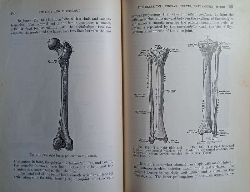 A Text-Book of Anatomy and Physiology for Schools of Nursing, Normal Schools, and Colleges