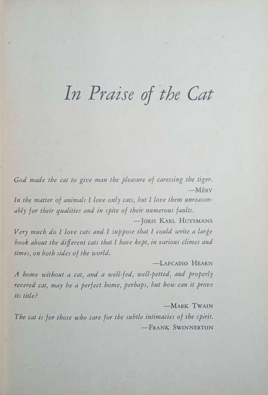 Cats, Cats, and Cats | Edward Rice and Jean Gleason
