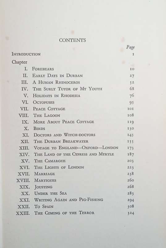 Light on a Dark Horse: An Autobiography 1901-1935 | Roy Campbell