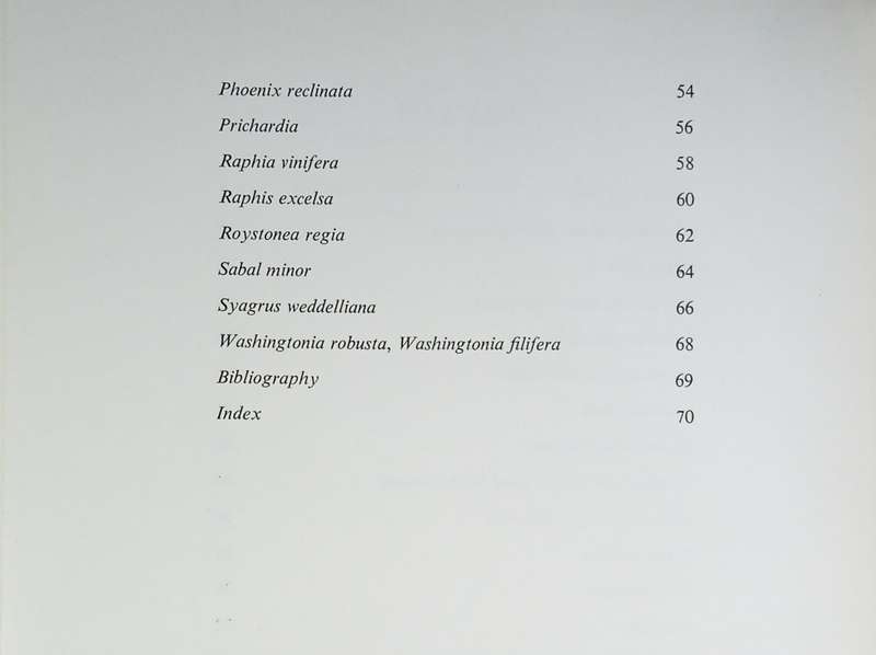 Palms for Gardens in Southern Africa [Limited edition, numbered copy] | Hein Wicht