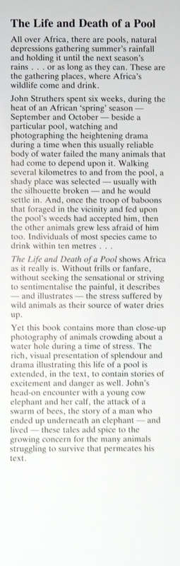 The Life and Death of a Pool | Joan Struthers