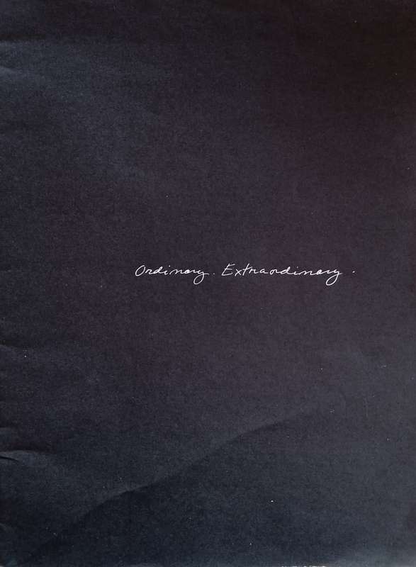 Ordinary Extraordinary | May Stevens