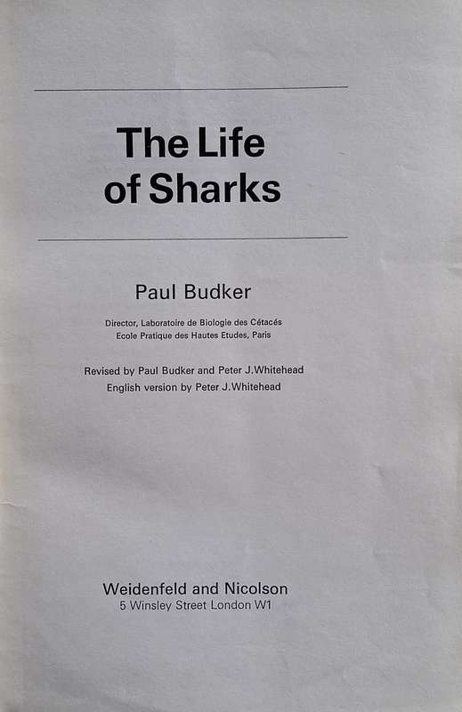 The Life of Sharks | Paul Budker