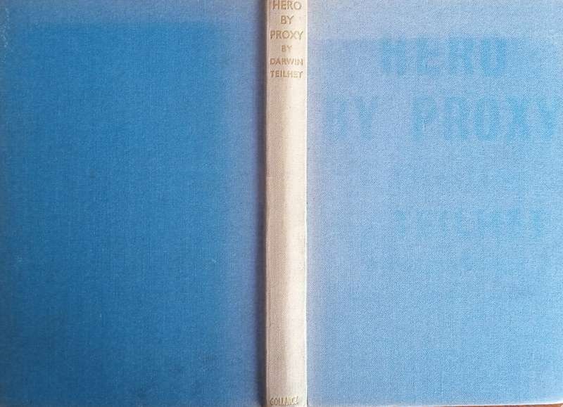 Hero by Proxy: A Kaleidoscopic Misadventure | Darwin Teilhet