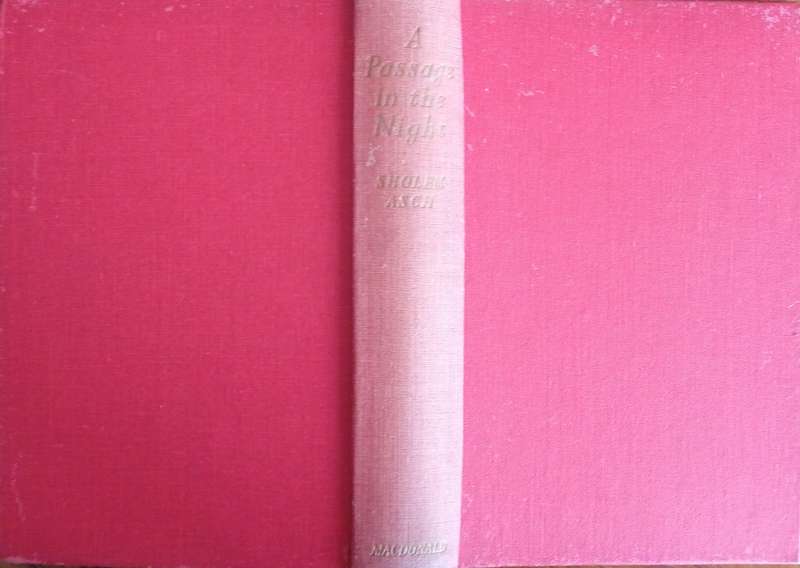 A Passage in the Night | Sholem Asch