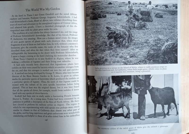 The World Was My Garden: Travels of a Plant Explorer | David Fairchild