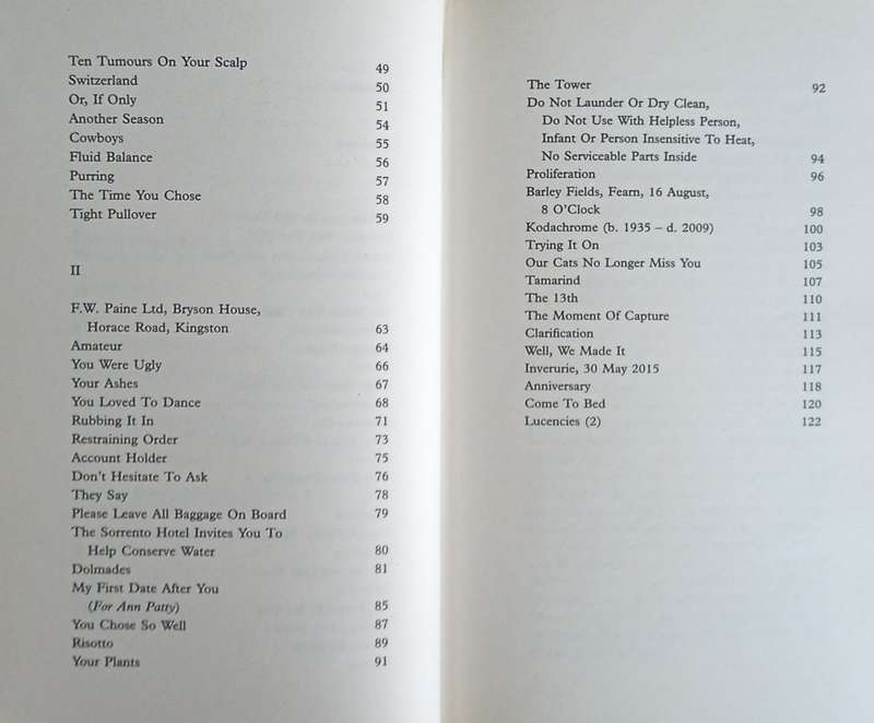 Undying: A Love Story | Michel Faber