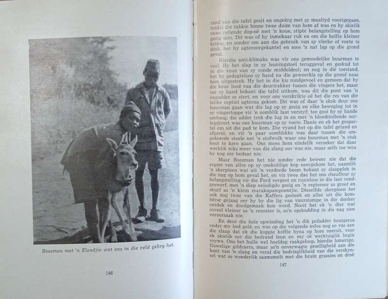 Simba [Afrikaans] [First edition] | Sangiro