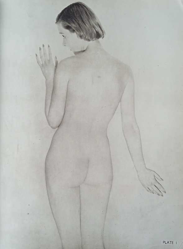 Artist's Model | John Everard