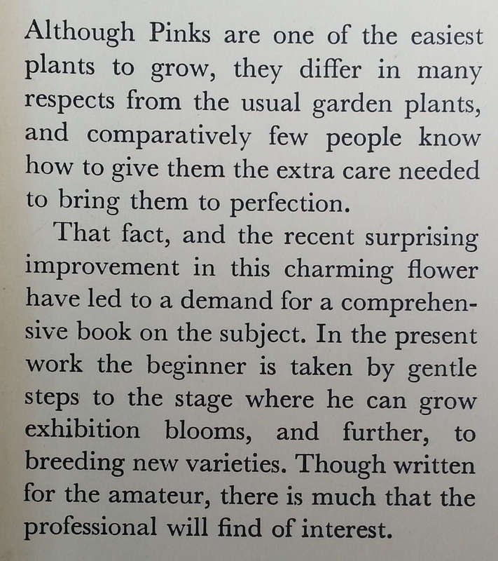 Pinks: Cultivation & Selection | F. R. McQuown