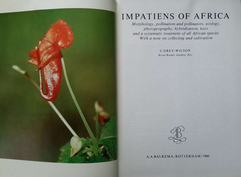 Impatiens of Africa | C. Grey-Wilson