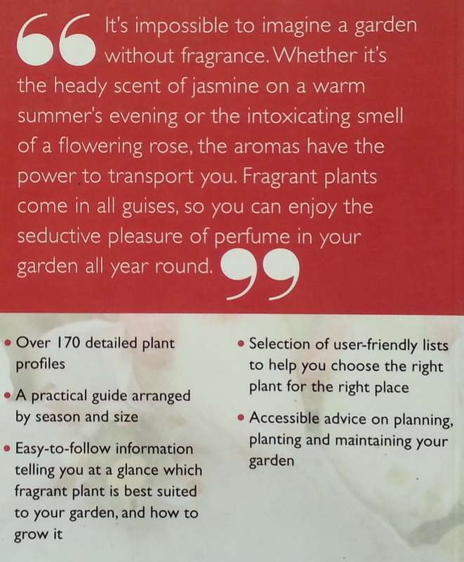 Fragrant Plants (Greenfingers Guide Series) | Lucy Summers