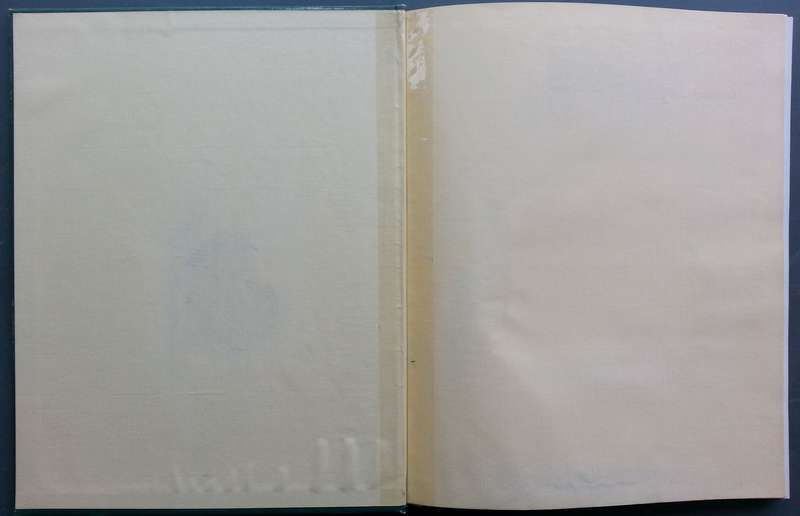 The Art of Alexander Rose-Innes (Signed by the Artist) | Martin Bekker