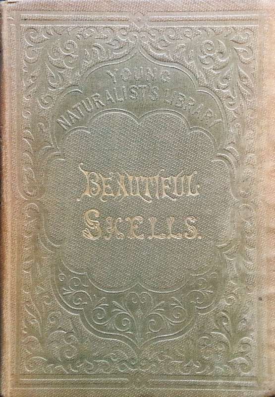 Beautiful Shells: Their Nature, Structure, and Uses (First Edition, 1855, with Hand-Coloured Plat...