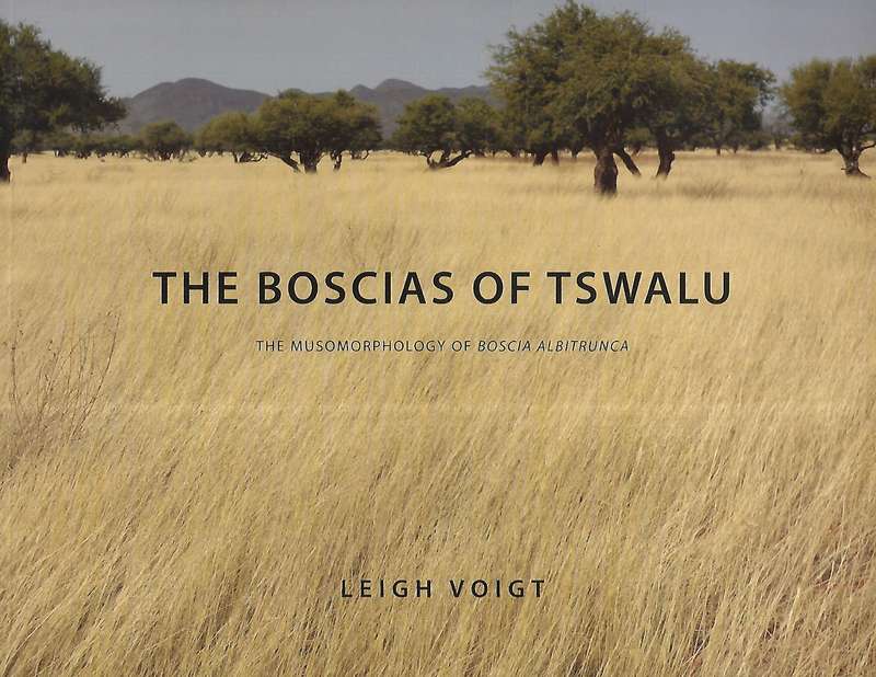 The Boscias of Tswalu: The Musomorphology of Boscia Albitrunca | Leigh Voigt
