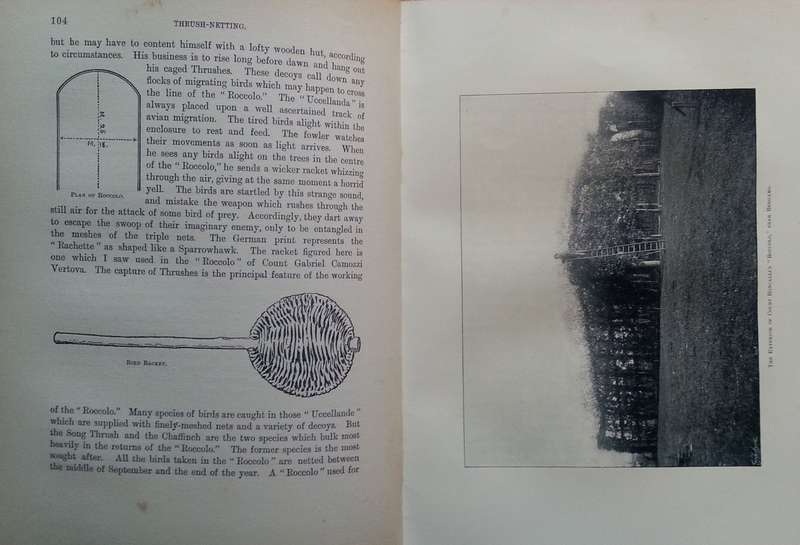 A History of Fowling | Rev. H. A. Macpherson