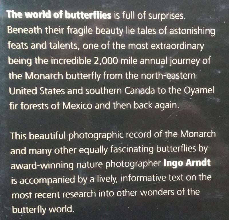 Nomads of the Wind: The Migration of the Monarch Butterfly and Other Wonders of the Butterfly Wor...