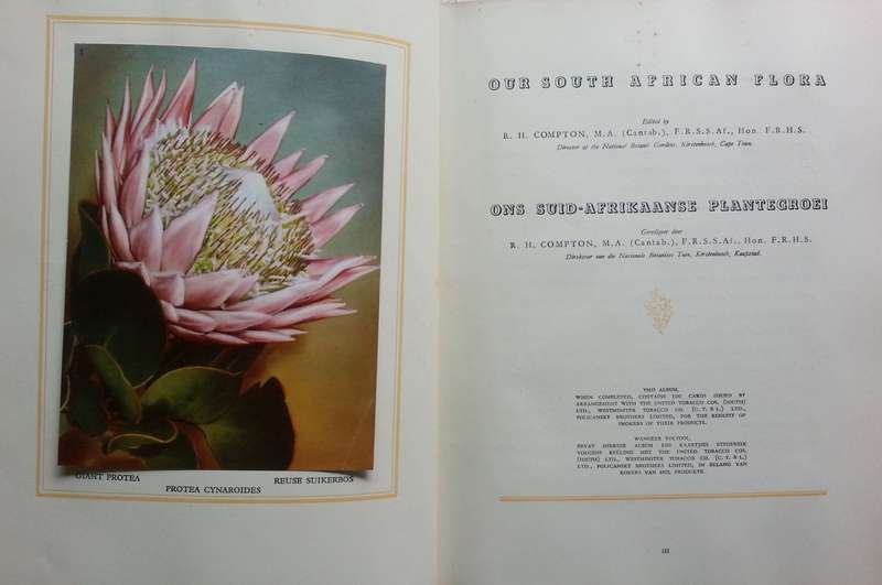 Our South African Flora (Cards Correctly Inserted with Photo Corner Ends) | R. H. Compton
