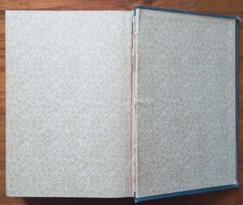 Ten Thousand Miles on a Bicycle (Published 1887) | Karl Kron